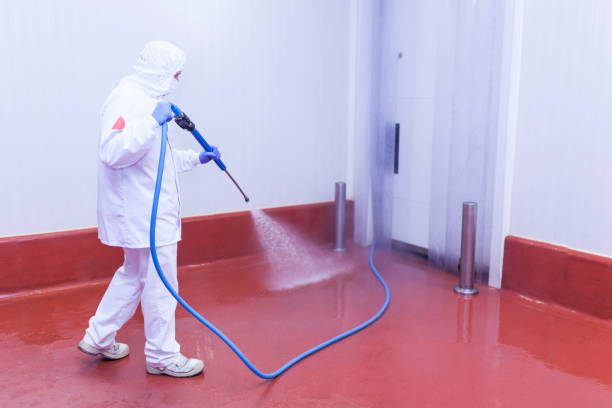 Trusted Ponder, TX Pressure Washing Experts